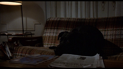 Eyewitness