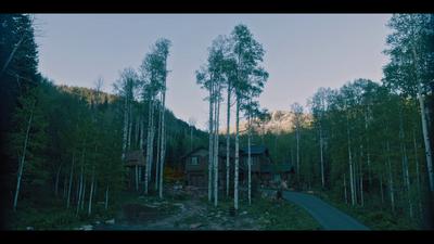 Hereditary