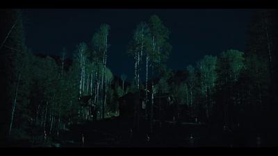 Hereditary