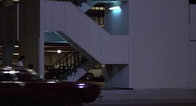 Into the Night