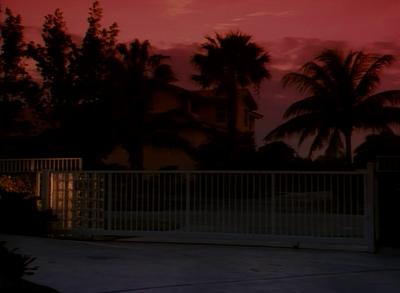 Miami Hustle