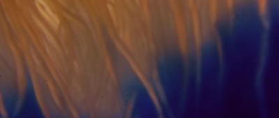 Upstream Color