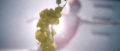 Upstream Color