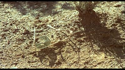 Wake in Fright