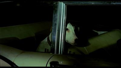 Wake in Fright