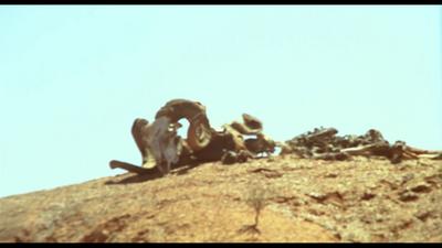 Wake in Fright
