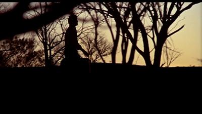 Wake in Fright