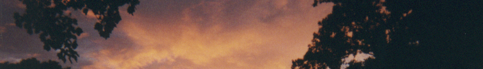 Photography: 1999-2003