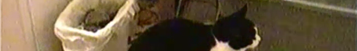 Videos