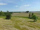 The Great Outdoors