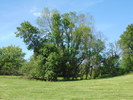 The Great Outdoors