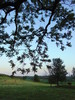 The Great Outdoors