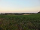 The Great Outdoors