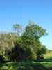 The Great Outdoors