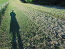 The Great Outdoors
