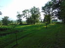 The Great Outdoors