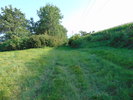 The Great Outdoors
