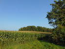 The Great Outdoors