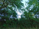 The Great Outdoors