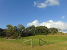 The Great Outdoors