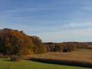 The Great Outdoors