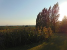 The Great Outdoors