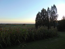 The Great Outdoors