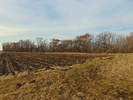 The Great Outdoors