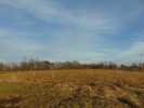 The Great Outdoors