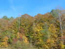 The Great Outdoors
