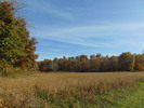 The Great Outdoors