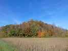 The Great Outdoors