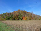 The Great Outdoors