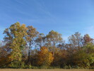 The Great Outdoors