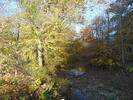 The Great Outdoors