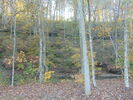 The Great Outdoors