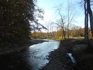 The Great Outdoors