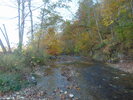 The Great Outdoors