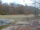 The Great Outdoors