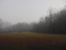 The Great Outdoors