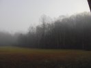 The Great Outdoors