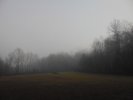 The Great Outdoors
