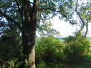 The Great Outdoors