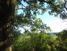 The Great Outdoors