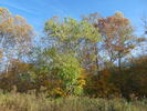 The Great Outdoors