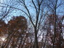 The Great Outdoors