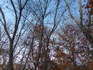 The Great Outdoors